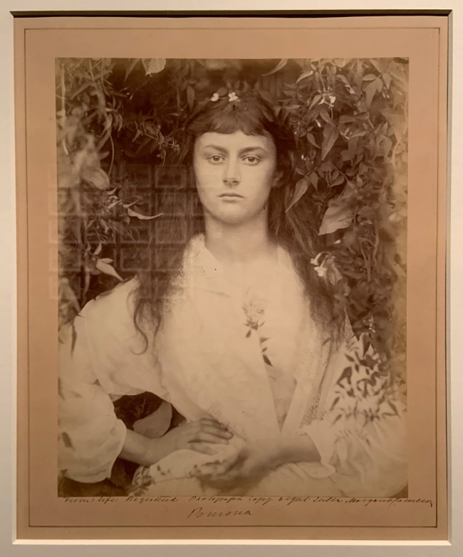 Julia Margaret Cameron (British, born India, 1815-1879) 'Pomona' 1887 (installation view)