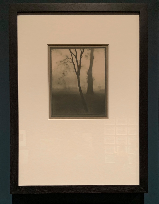 Alvin Langdon Coburn (American 1882-1966) 'Kensington Gardens' 1910 (installation view)