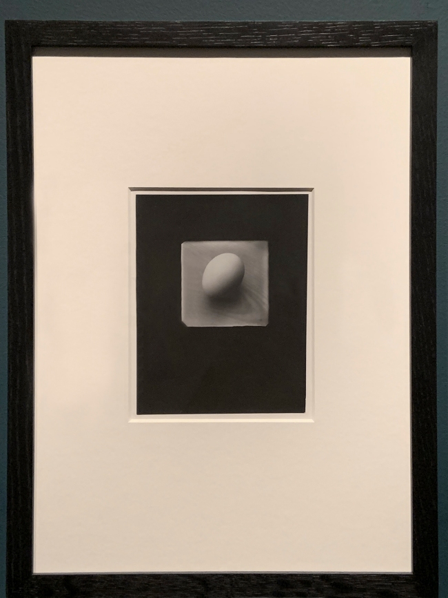 Josef Sudek (Czech, 1896-1976) 'Simple Still Life, Egg' 1950 (installation view)