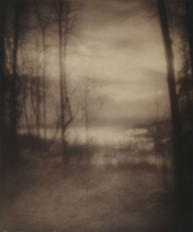 Imogen Cunningham (American, 1883-1976) 'Marsh at Dawn' 1906