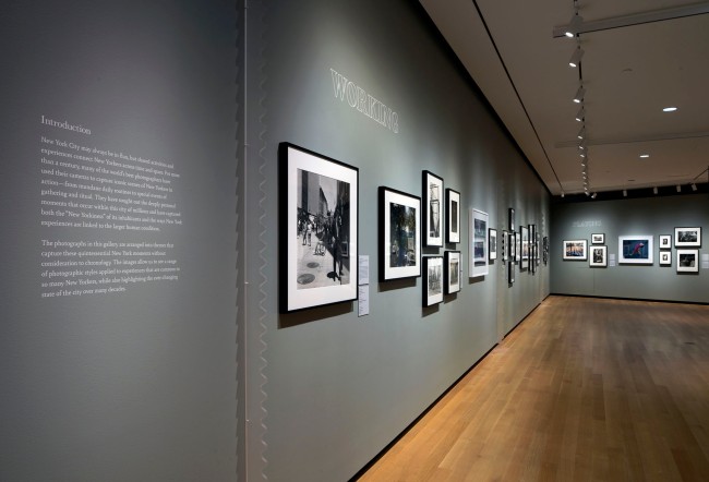 Installation view of the exhibition 'Celebrating the City: Recent Acquisitions from the Joy of Giving Something' at the Museum of the City of New York