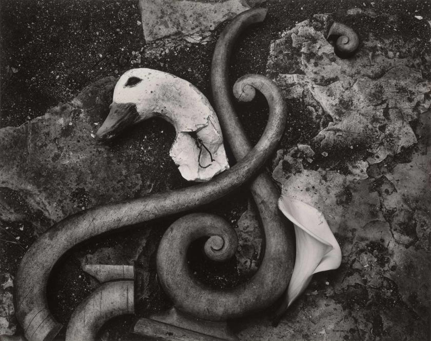 Edward Weston (American, 1886-1958) 'Junk' 1939