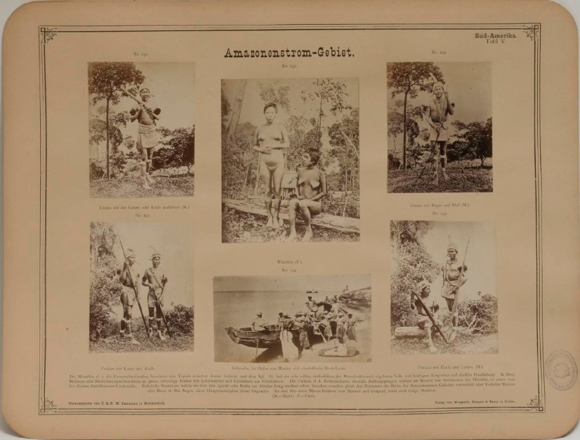 Carl Dammann (German, 1819-1874). 'Amazonenstrom-Gebiet' 1873-1876