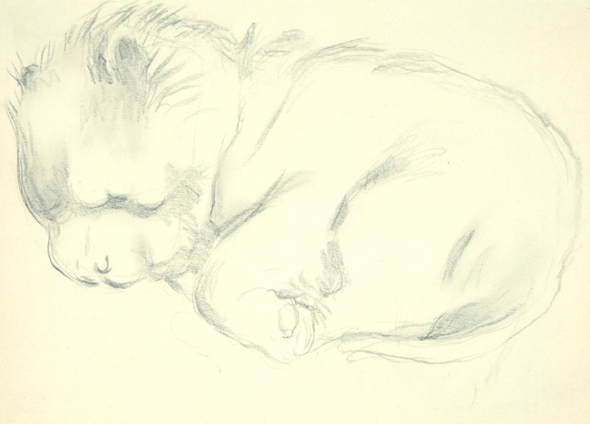 Georgia O'Keeffe (American, 1887-1986) 'Untitled (Dog)' 1951