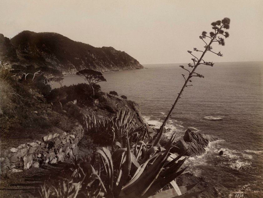 August Alfred Noack (Italian, 1833-1895) 'Riviera di Levante: The Coast near Sestri Levante' c. 1870