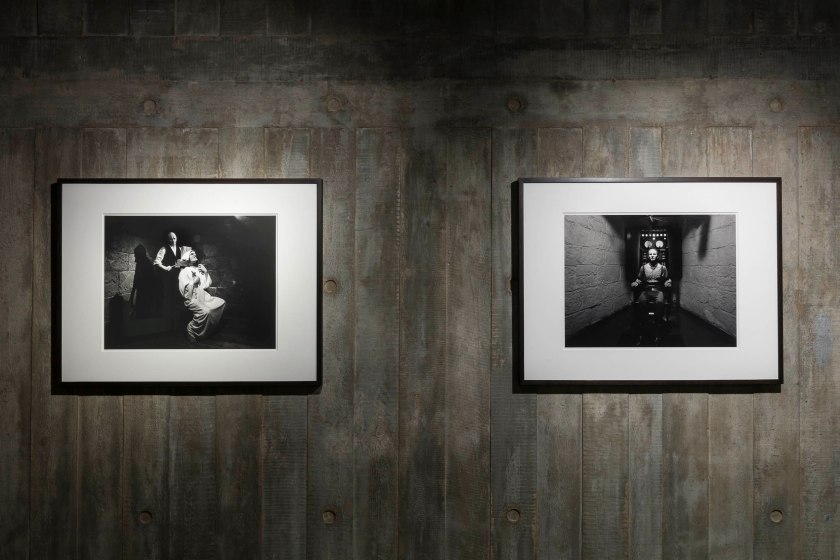 Installation view of Hiroshi Sugimoto, 'Chamber of Horrors' series