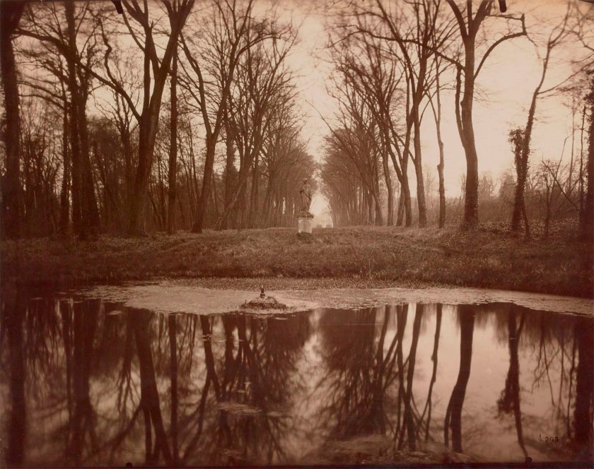 Eugène Atget (French, 1857-1927) 'Parc de Sceaux, Duchess Alley' Between 1925 and 1927