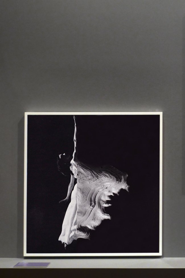 Zoë Croggon (Australian, b. 1989) 'Fonteyn' 2012 (installation view)