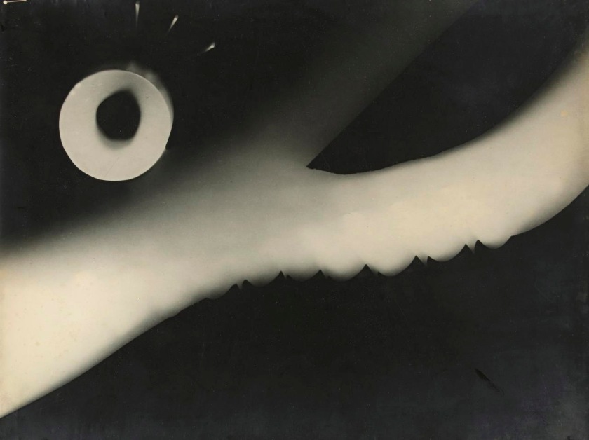 László Moholy-Nagy (Hungarian 1895-1946, Germany 1920-1934, England 1935-1937, United States 1937-1946) 'Fotogram, 1925' 1925