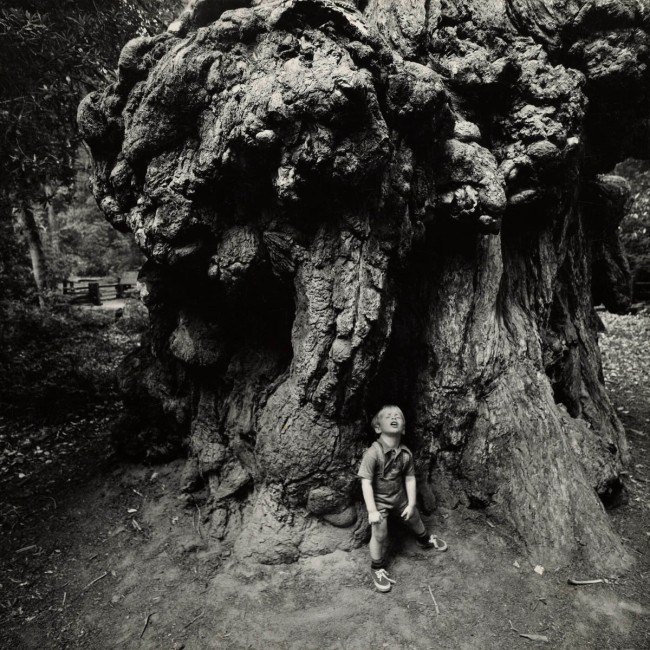 Arthur Tress (American, b. 1940) 'Child's Dream of Redwood Monster, Santa Cruz, California' 1971