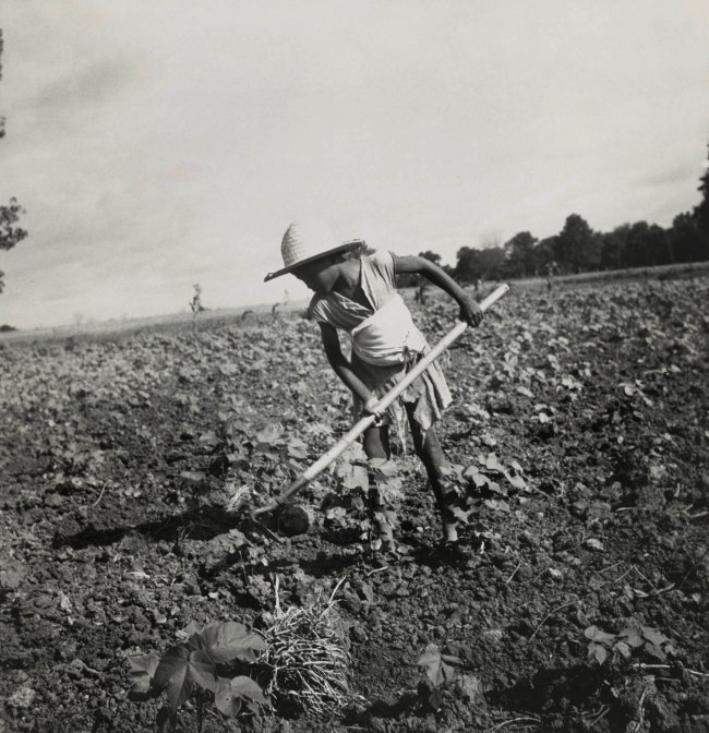 Dorothea Lange (American, 1895-1965) 'Child of Impoverished Black Tenant Family Working on Farm, Alabama' July 1936