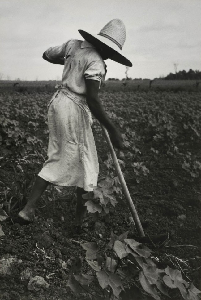 Dorothea Lange (American, 1895-1965) 'Black Woman Working in Field near Eutaw, Alabama' 1936