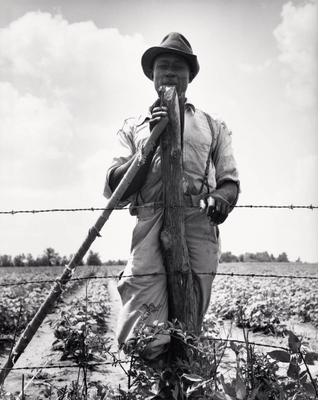 Dorothea Lange (American, 1895-1965) 'Black sharecropper with twenty acres. He receives eight cents a day for hoeing cotton. Brazos river bottoms, near Bryan, Texas' June 1938, printed c. 1950