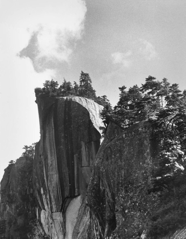 Hedda Morrison (German 1908-1991, China 1933-1946, Australia 1967-1991) 'No title (Fairy Palm Cliff)' 1935