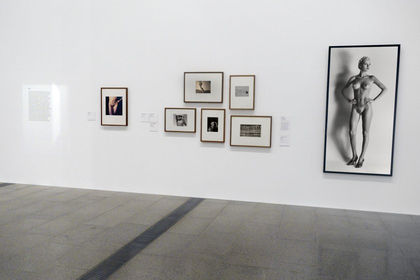 Installation view of the exhibition 'Photography: Real & Imagined' at The Ian Potter Centre: NGV Australia, Melbourne showing from left to right, Virginie Grange's 'Untitled' (1990); George Hoyningen-Huene's 'Horst torso' (1931); František Drtikol's 'Nude' (1927-1929); Olive Cotton's 'Max after surfing' (1937); Edward Weston's 'Nude' (1936); Eadweard Muybridge's Plate 227 from 'Animal Locomotion' series 1887; and Helmut Newton's 'Big nude I' (1980)