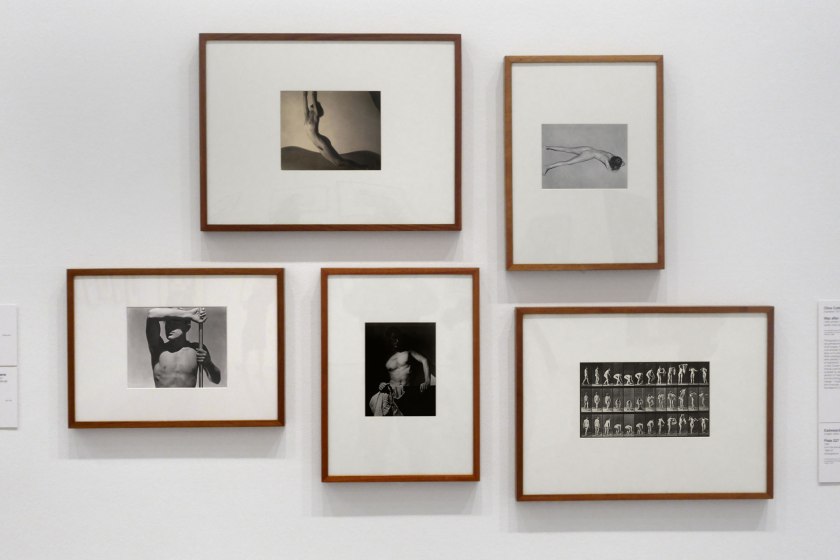 Installation view of the exhibition 'Photography: Real & Imagined' at The Ian Potter Centre: NGV Australia, Melbourne showing from left to right, George Hoyningen-Huene's 'Horst torso' (1931); František Drtikol's 'Nude' (1927-1929); Olive Cotton's 'Max after surfing' (1937); Edward Weston's 'Nude' (1936); Eadweard Muybridge's Plate 227 from 'Animal Locomotion' series 1887