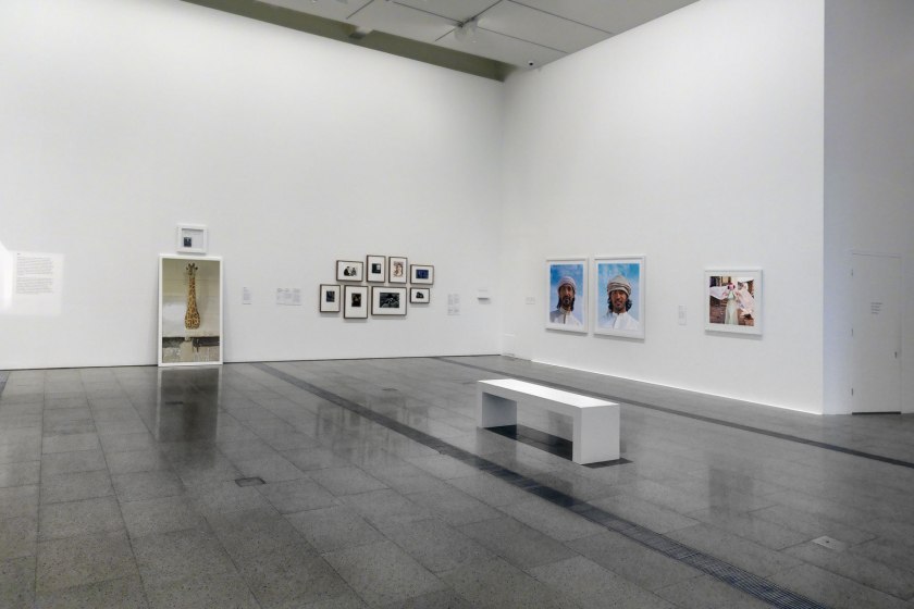 Installation view of the exhibition 'Photography: Real & Imagined' at The Ian Potter Centre: NGV Australia, Melbourne showing at left, Sophie Calle's 'The giraffe' (2012); and centre right, Lynne Roberts-Goodwin's 'Al Hammadi Desert Saqar #1 and #3'; and at right, Sarah Waiswa's 'Finding solace' (2016)